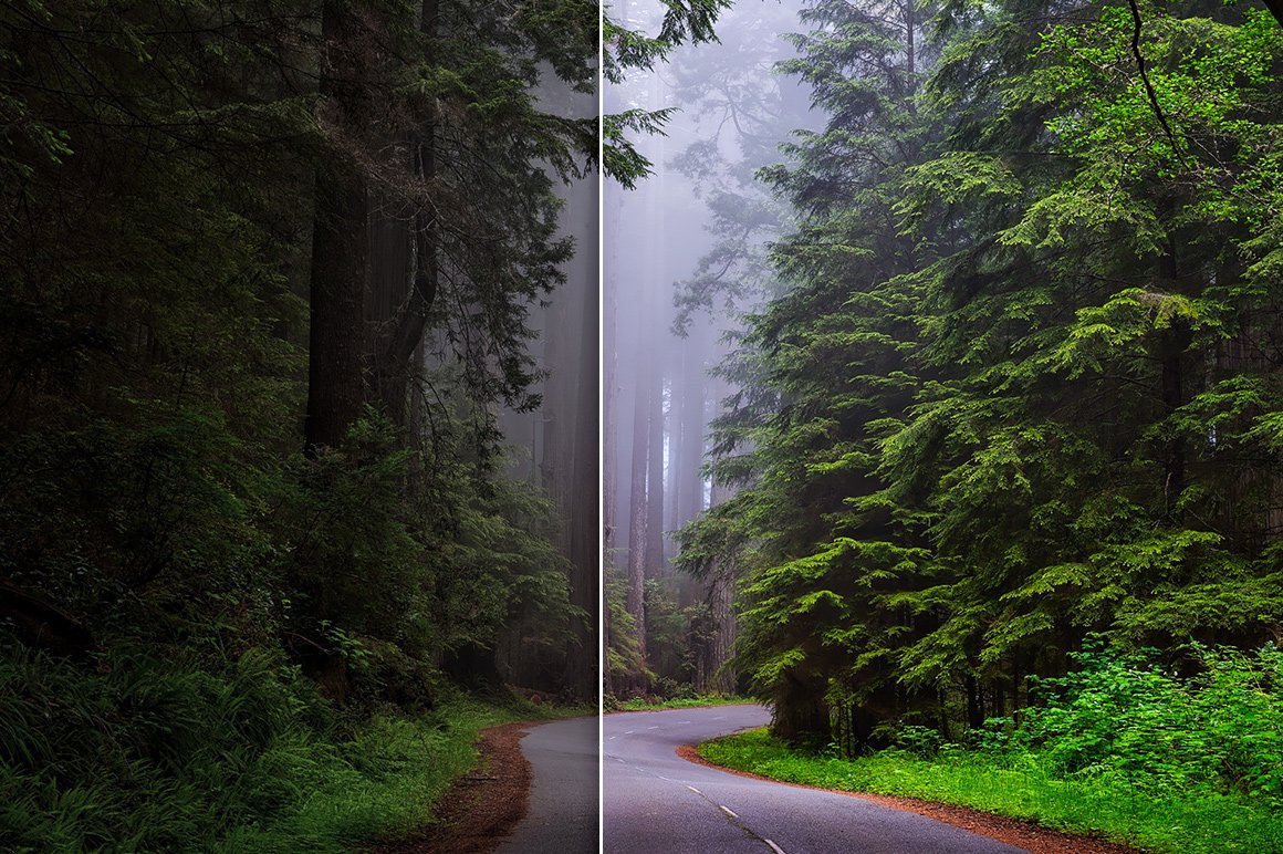 Forest Colors – Lightroom Presets