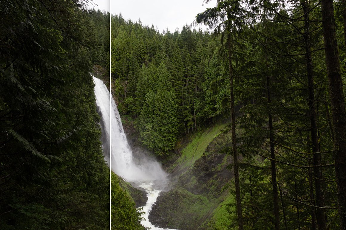 Forest Colors – Lightroom Presets