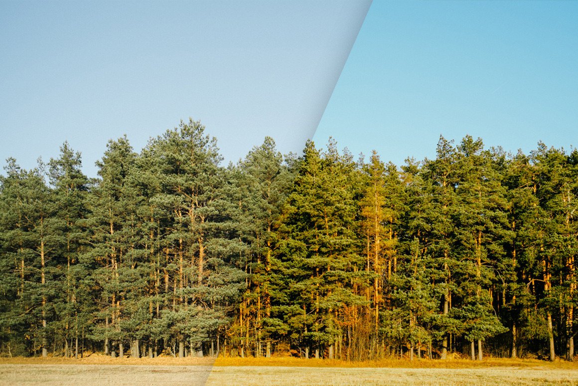 Summer Time – Lightroom Presets
