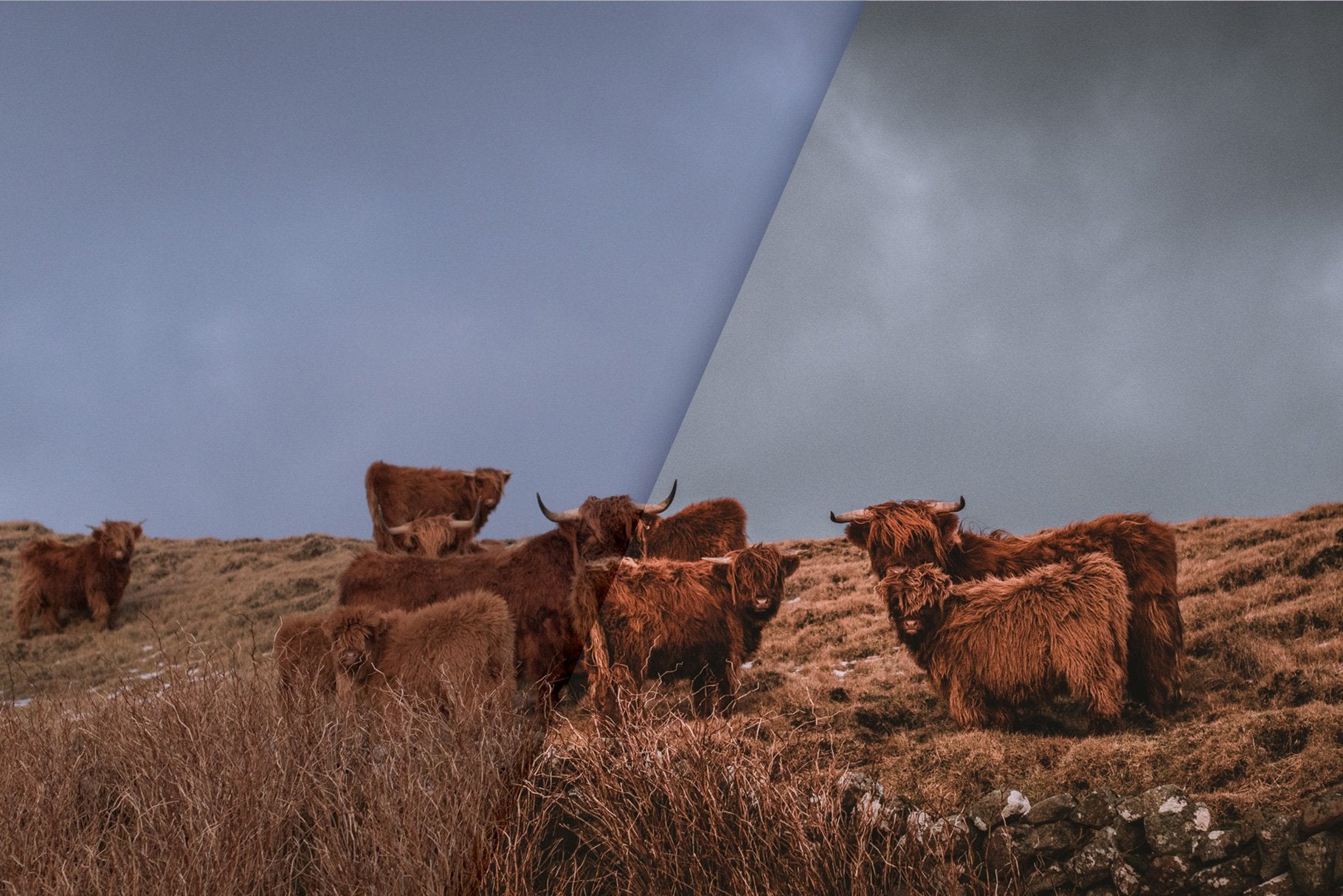 Moody Landscapes - Lightroom Presets