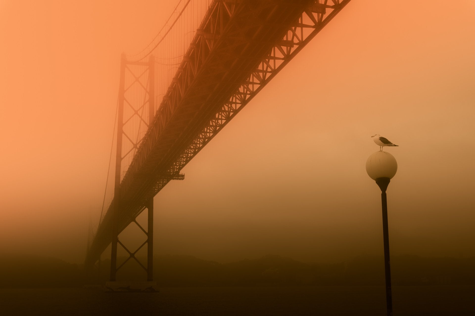 End of Days (Post-Apocalyptic Look) – FREE Lightroom Presets
