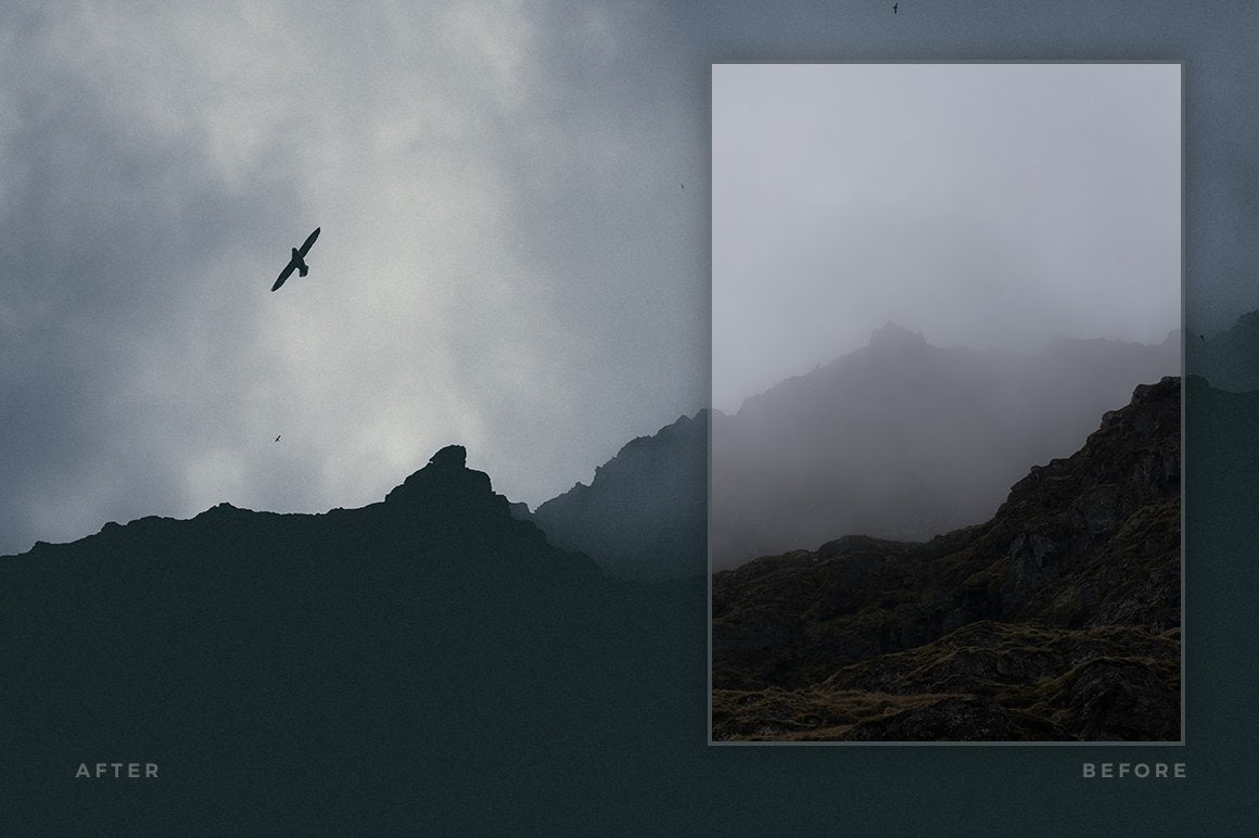 Lightroom Presets for Fine Art Photography (Artist Series Collection)