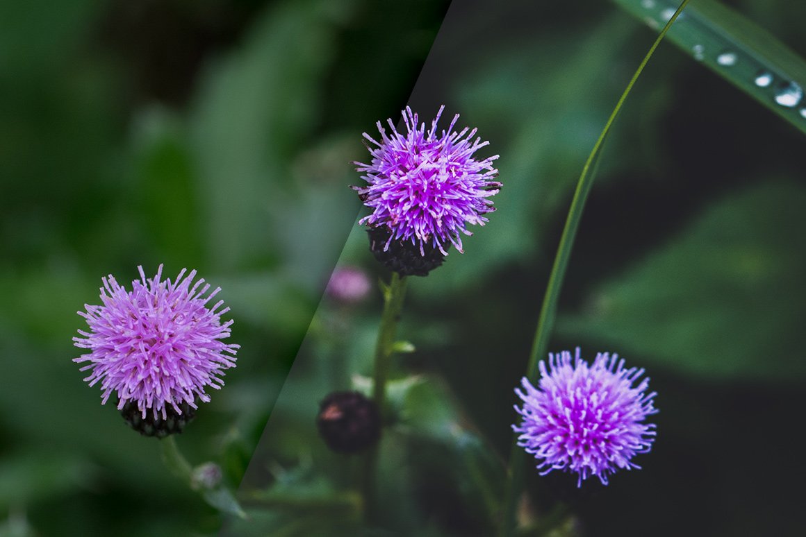 Vintage Flowers – Lightroom Presets