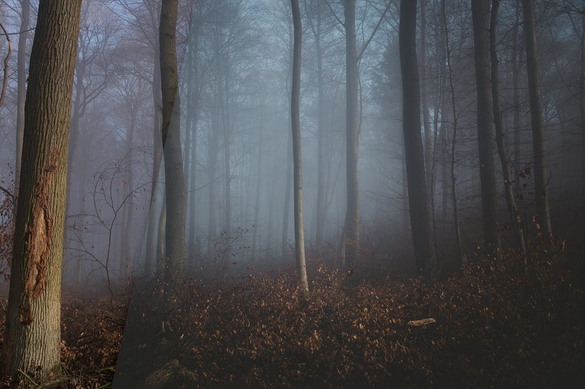 Soft Light & Dark Shadows – Lightroom Presets (Artist Series)