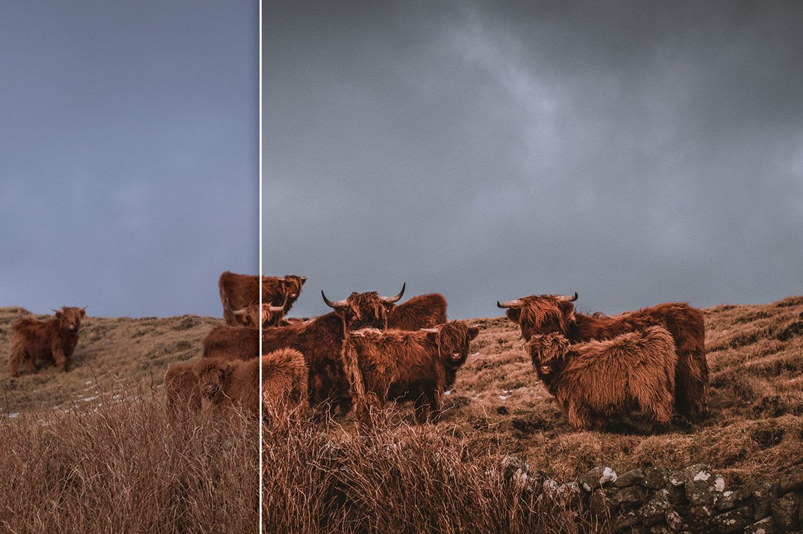 29 Products / 463 Lightroom Presets for Landscape & Travel Photography (Shop Bundle)