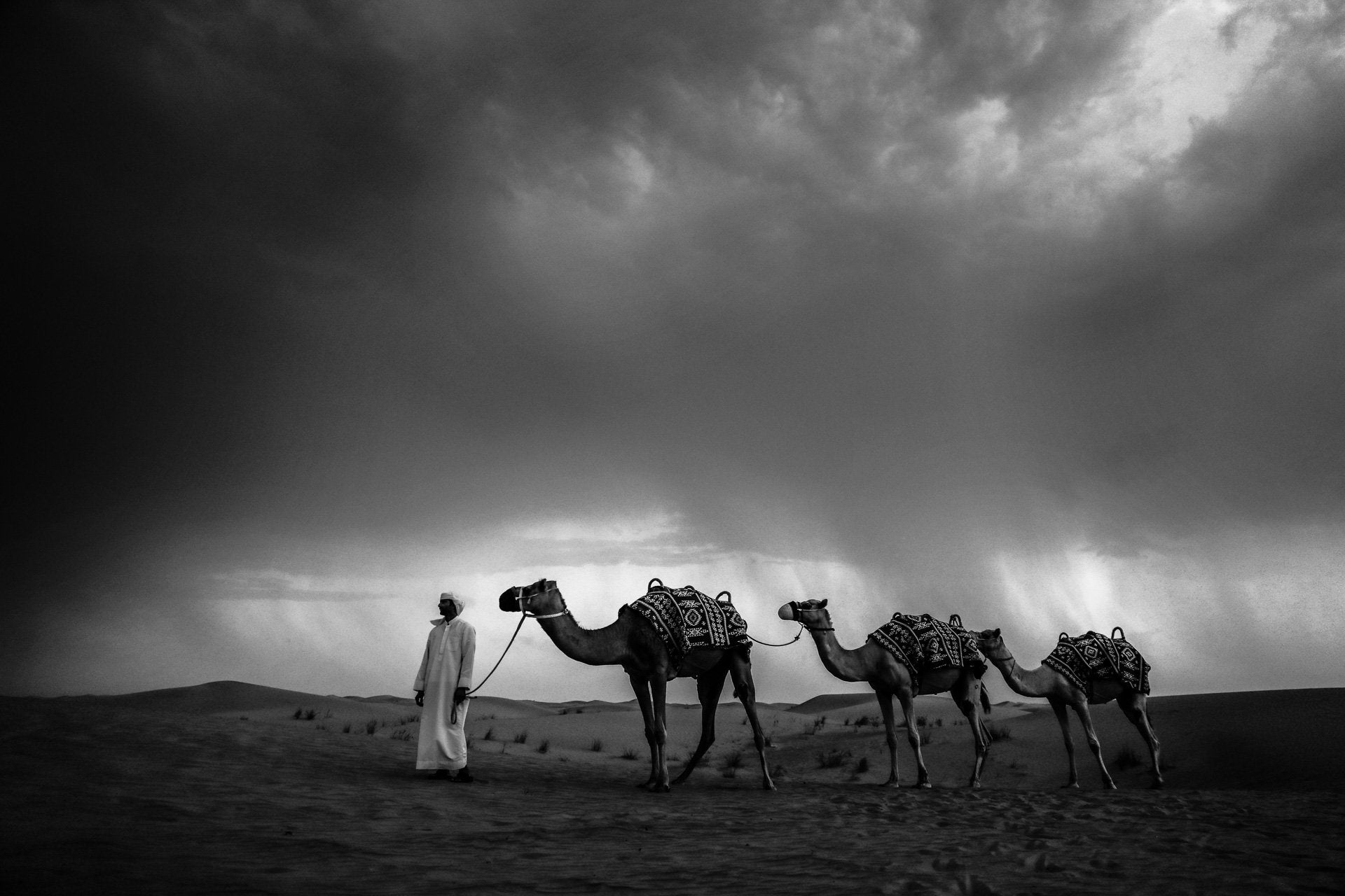 Black & White – Lightroom Presets