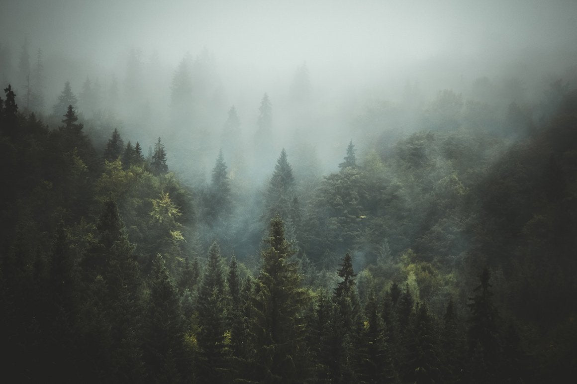 Lightroom Presets for Fine Art Photography (Artist Series Collection)