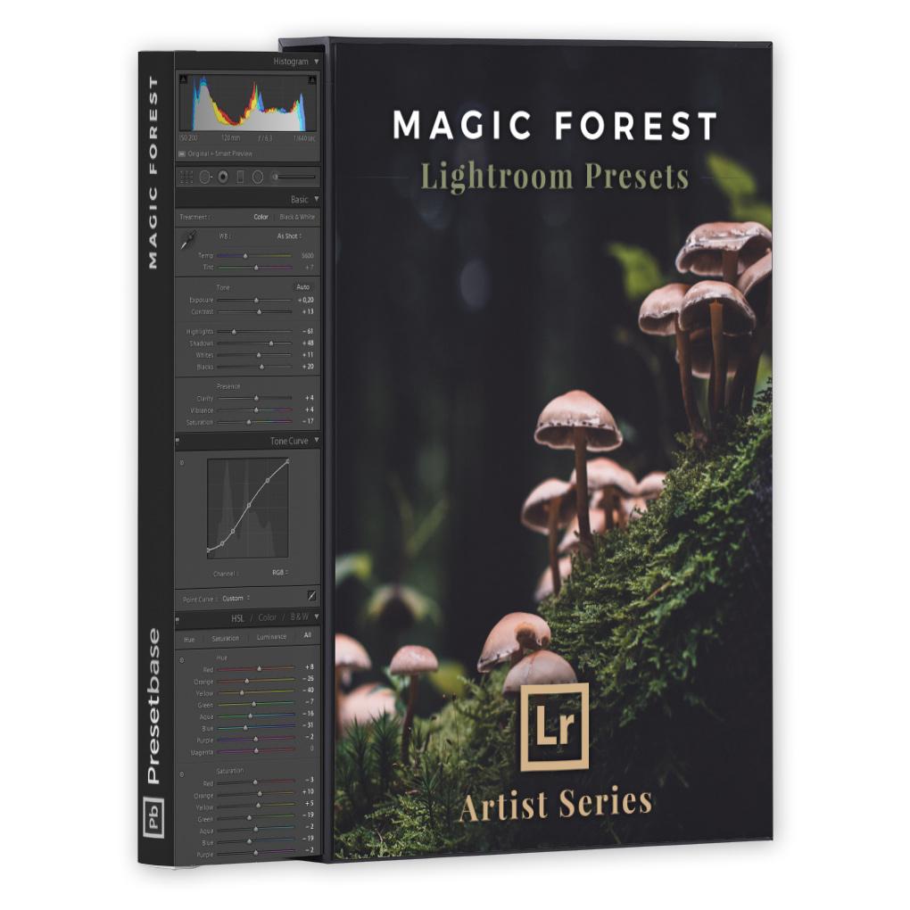 Magic Forest – Lightroom Presets (Artist Series)