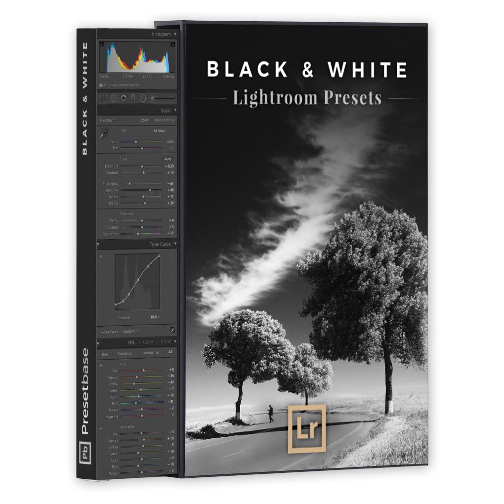 Black & White – Lightroom Presets