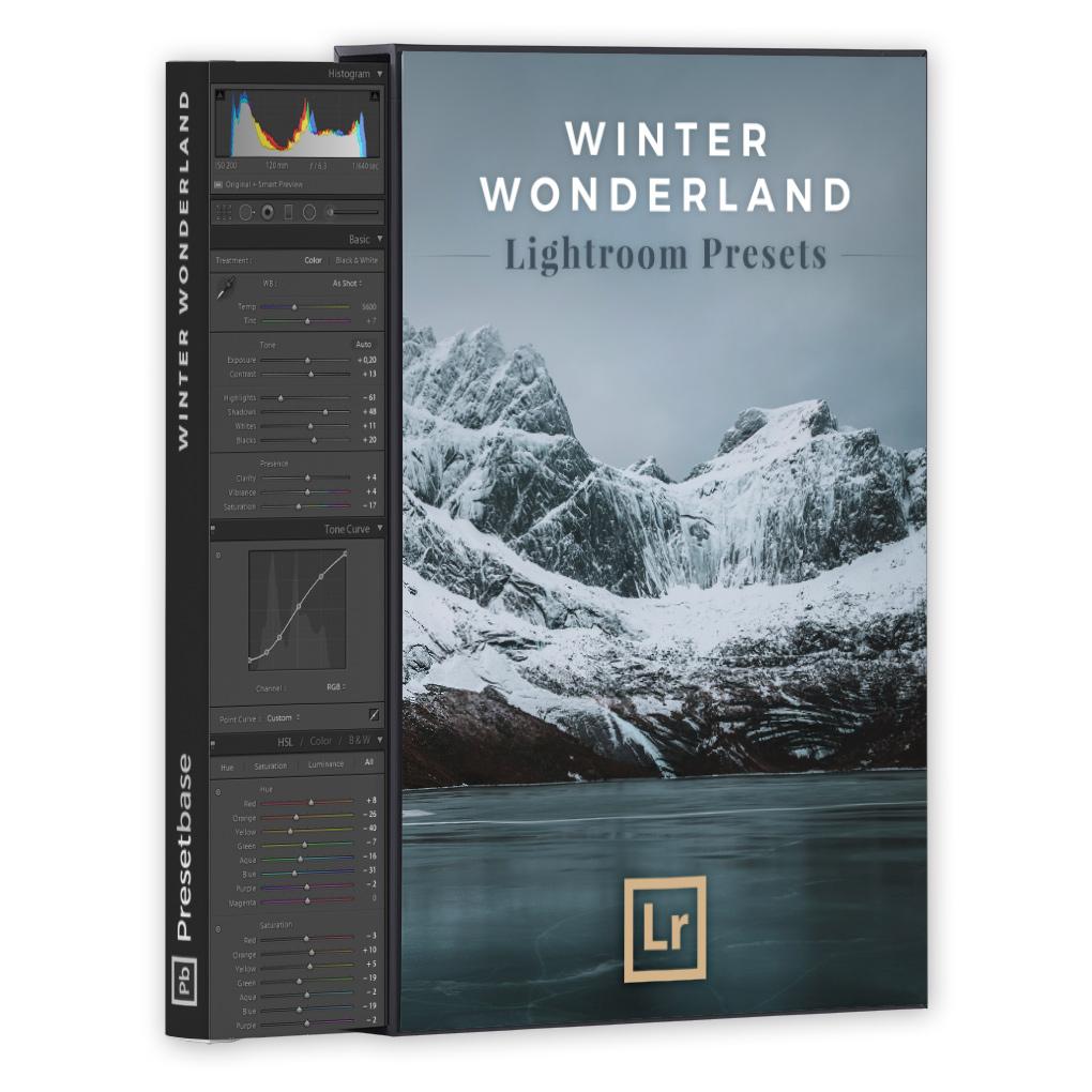Winter Wonderland – Lightroom Presets